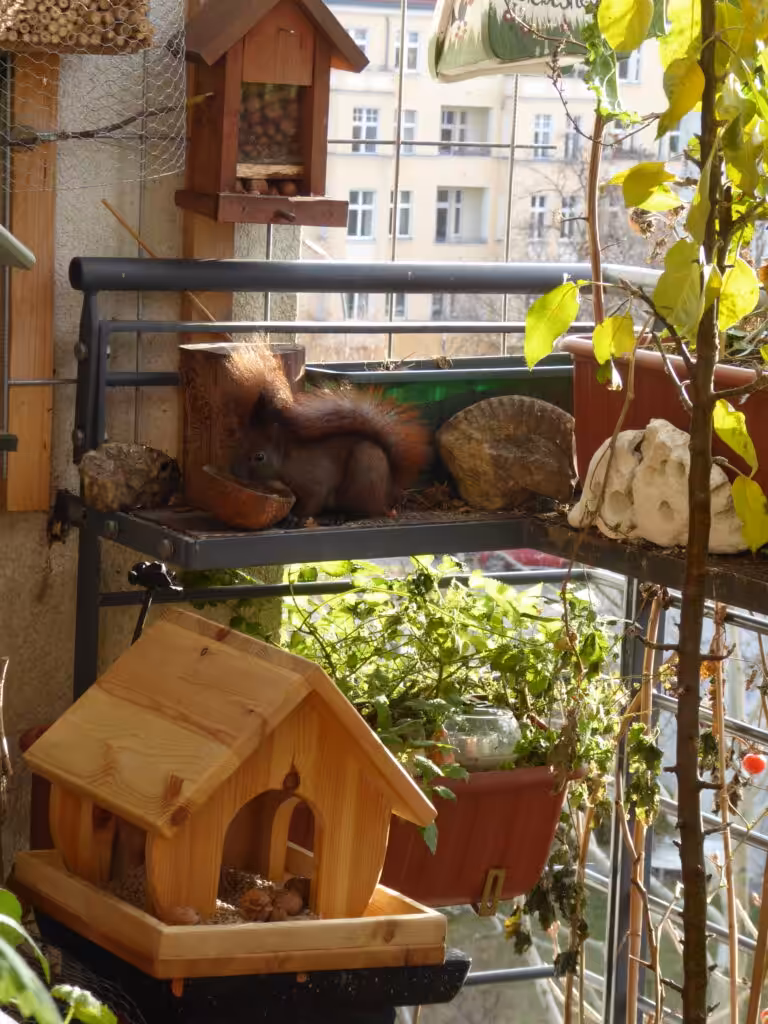 Hier leuchtet der Naturbalkon wunderbar in der Sonne. 