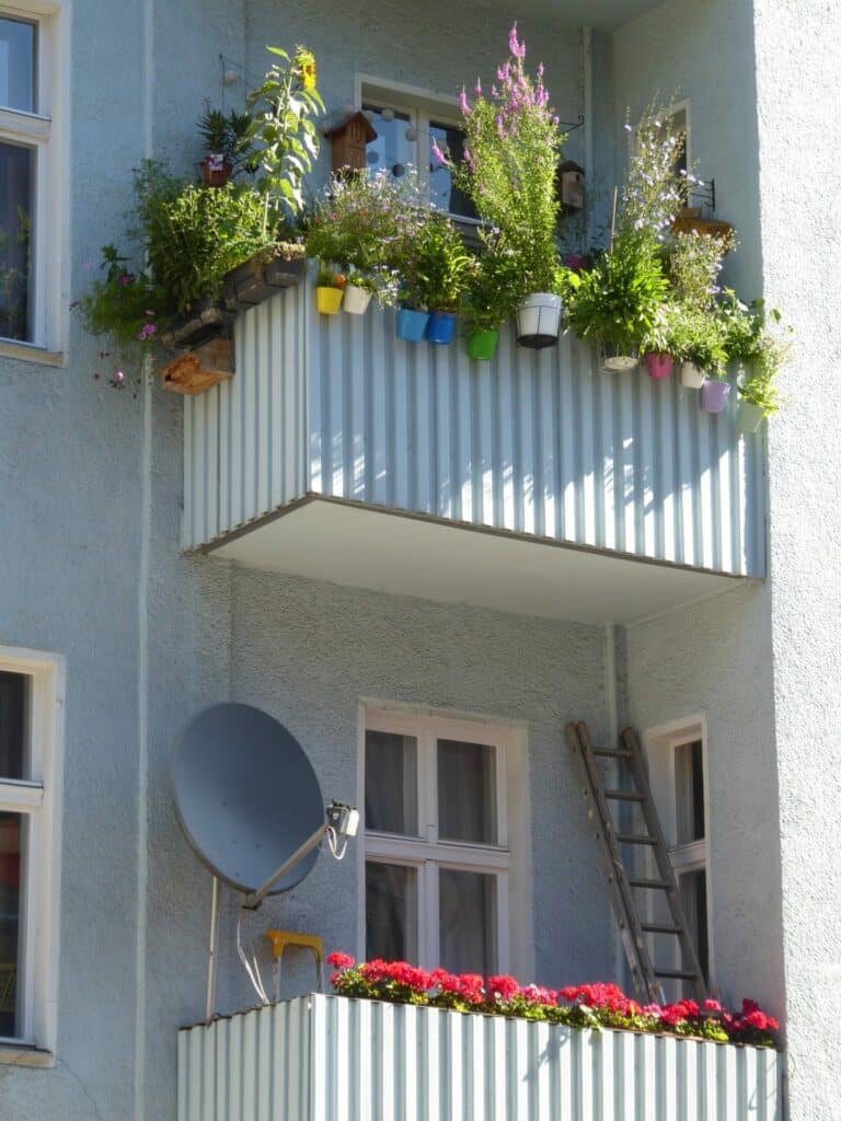 P1850781 balkon wildpflanzen abstellkammer berliner super