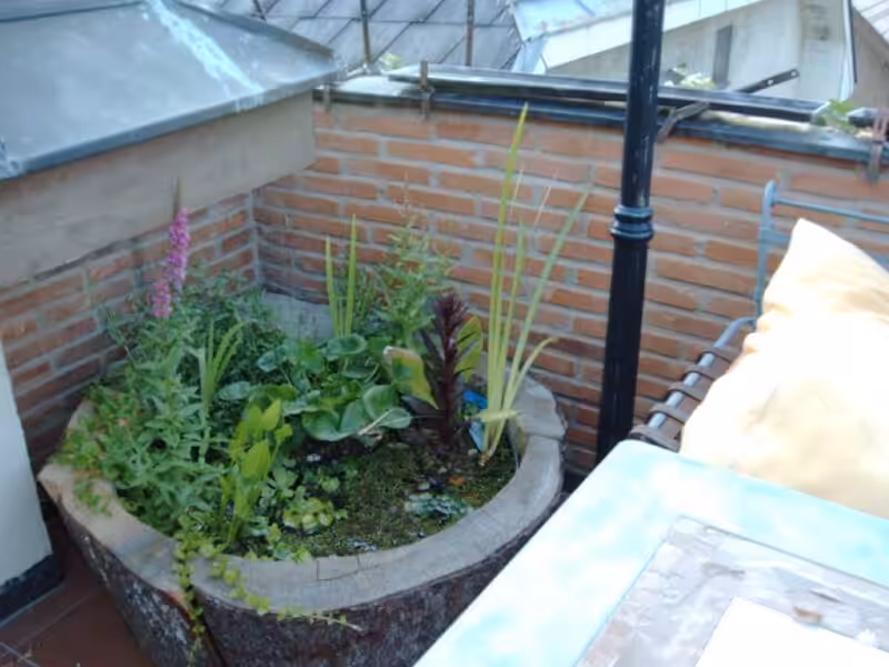 Ein sehr schönes Beispiel für einen Teich auf dem Balkon.