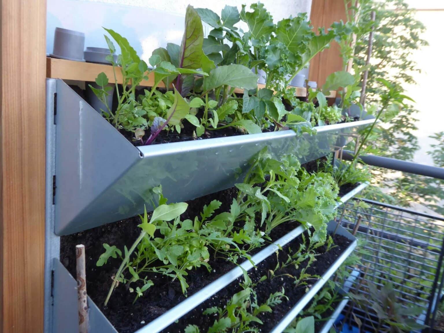 Vertikalbeet Freude und Ertrag durch vertikales Gärtnern Balkon