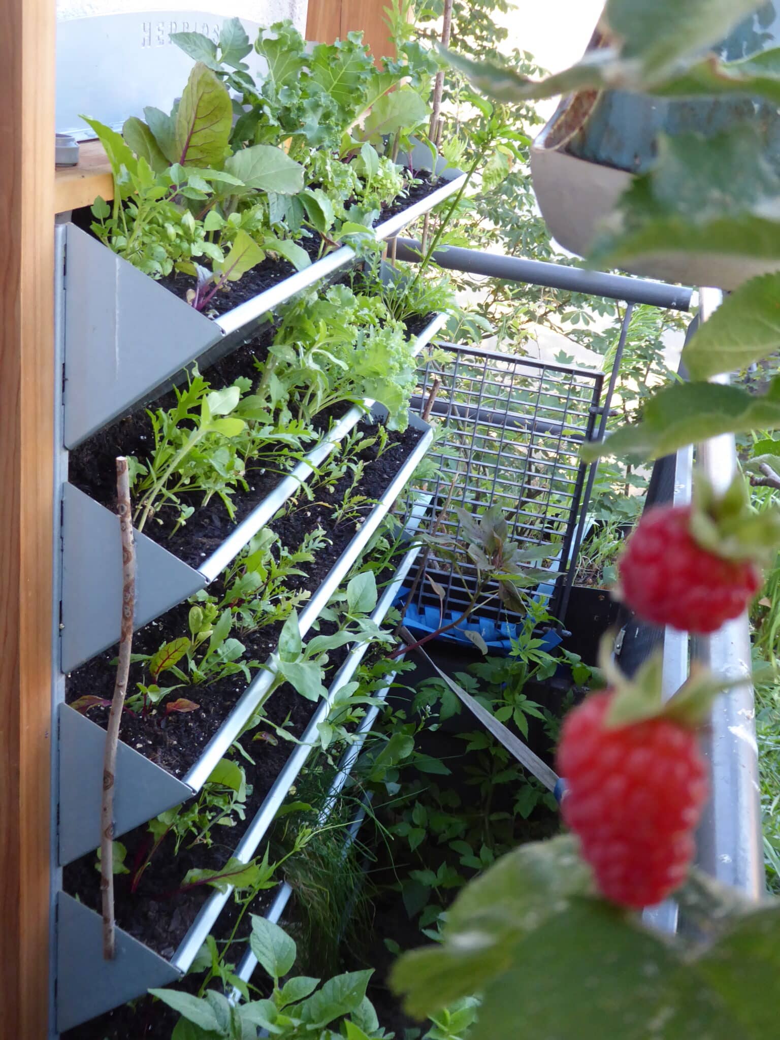 Vertikalbeet Freude und Ertrag durch vertikales Gärtnern Balkon