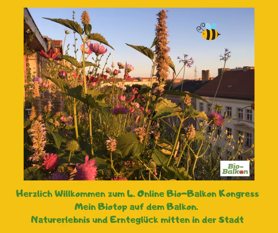 schöner Balkon, biobalkon, balkonkongress, biobalkonkongress, nachhaltiger balkon, biologisches gärtnern