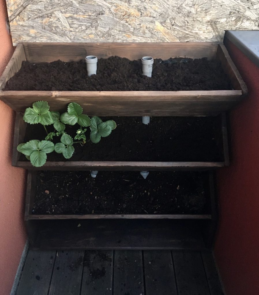 Preiswert vertikal Gärtnern DIY preiswertes Vertikalbeet BioBalkon