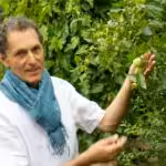 Siegfried Tatschl stellt beim Online Bio-Balkon-Kongress 555 Sorten Obst für den Permakulturbalkon vor