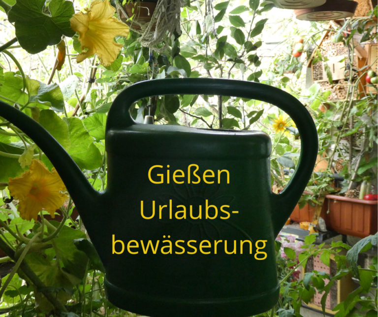 Gemeinsam online Gärtnern BioBalkon