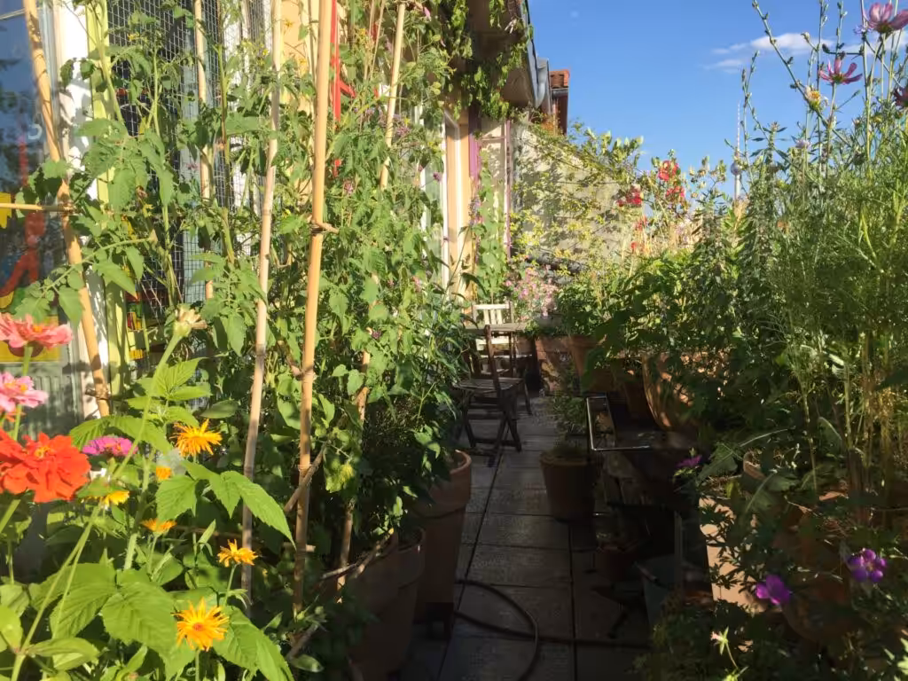 Tips for balcony design, balcony design, balcony garden design, tips for balcony garden design