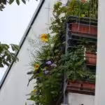 My relaxation balcony, which offers such wonderful nature experiences.
