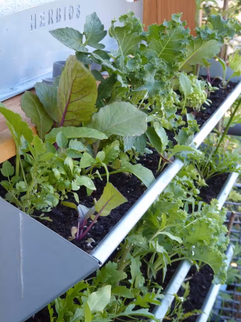 Vertical gardening with this vertical bed is a pleasure. It is great for planting.