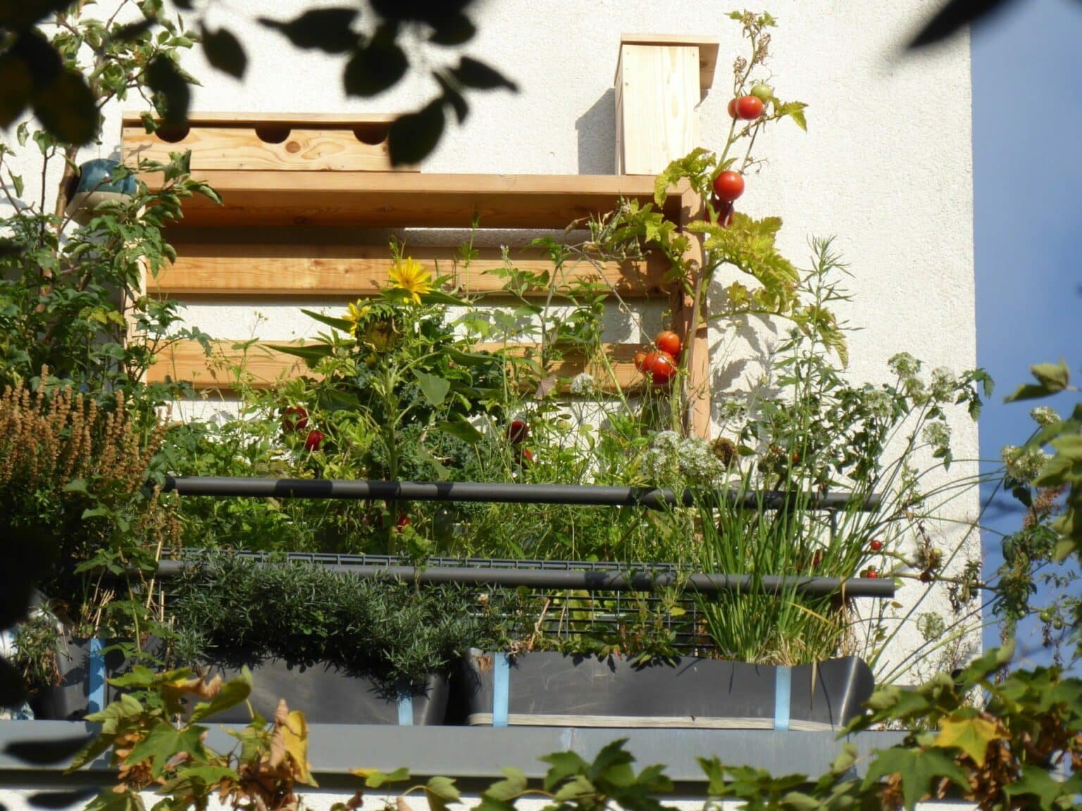 57+ Vertikales Gärtnern Balkon, In einem vertikalen garten wachsen
