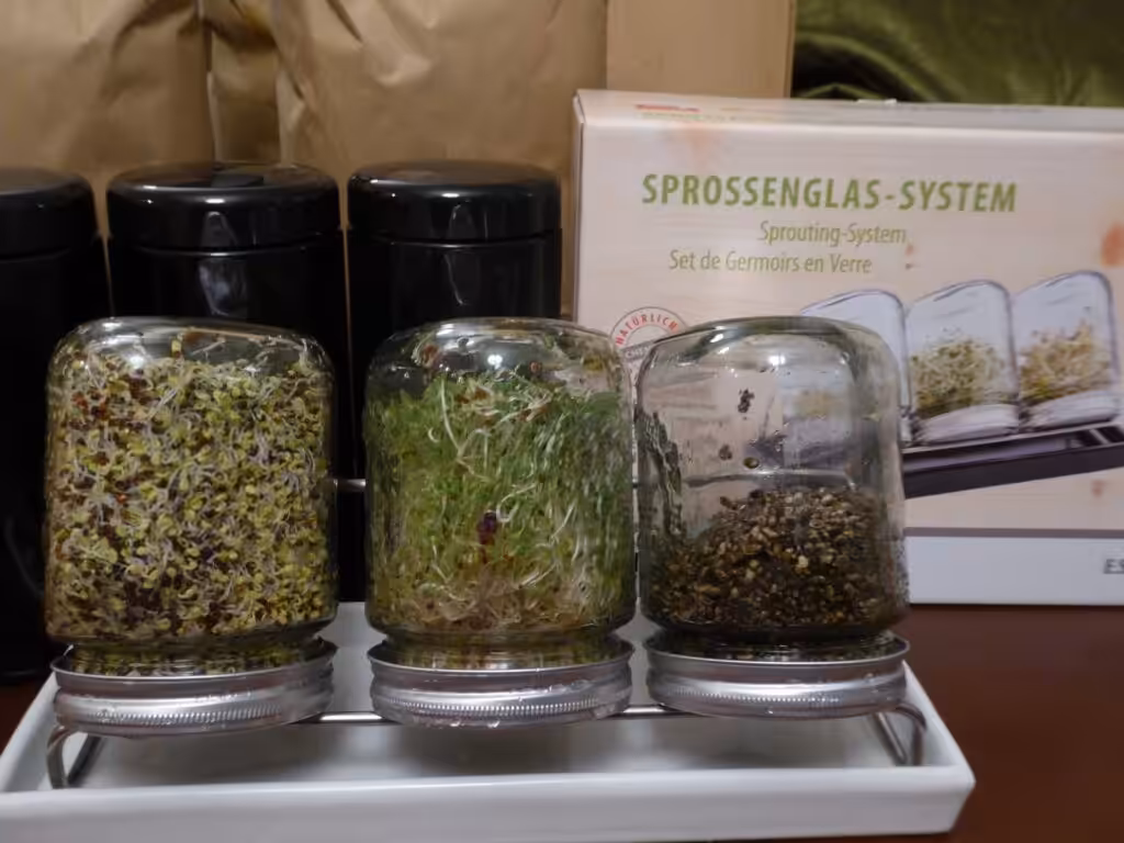 Qualitäts-Sprossengläser von Eschenfelder für die professionelle Anzucht von Sprossen in Bio-Qualität.