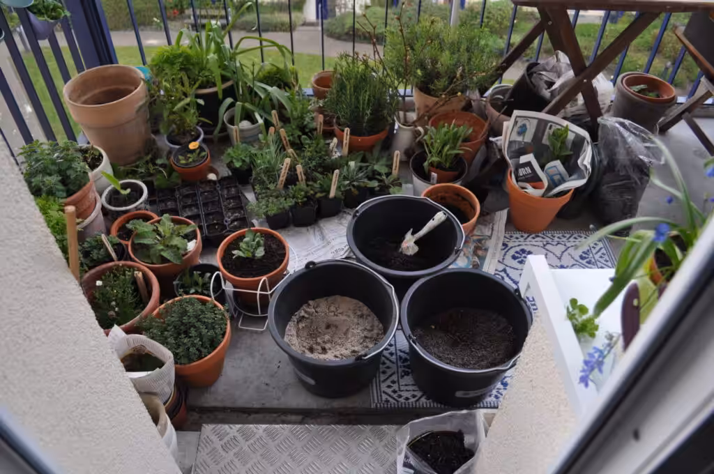 Große Pflanzaktion auf dem Balkon mitten in Hamburg. Stefanie Binder gestaltet ihren Balkon mit überwiegend heimischen Wildpflanzen. Sie mischt die Erde selbst.