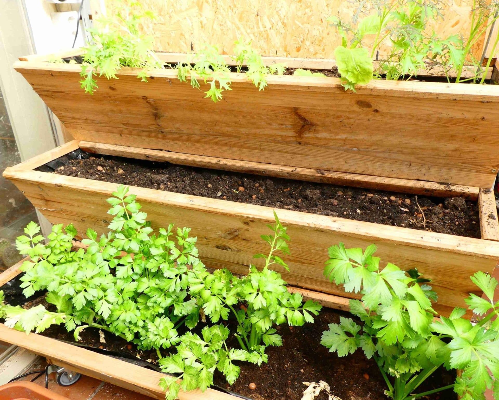 Preiswert vertikal Gärtnern DIY preiswertes Vertikalbeet BioBalkon