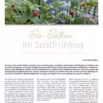 Annual series WA Aktuell 2020