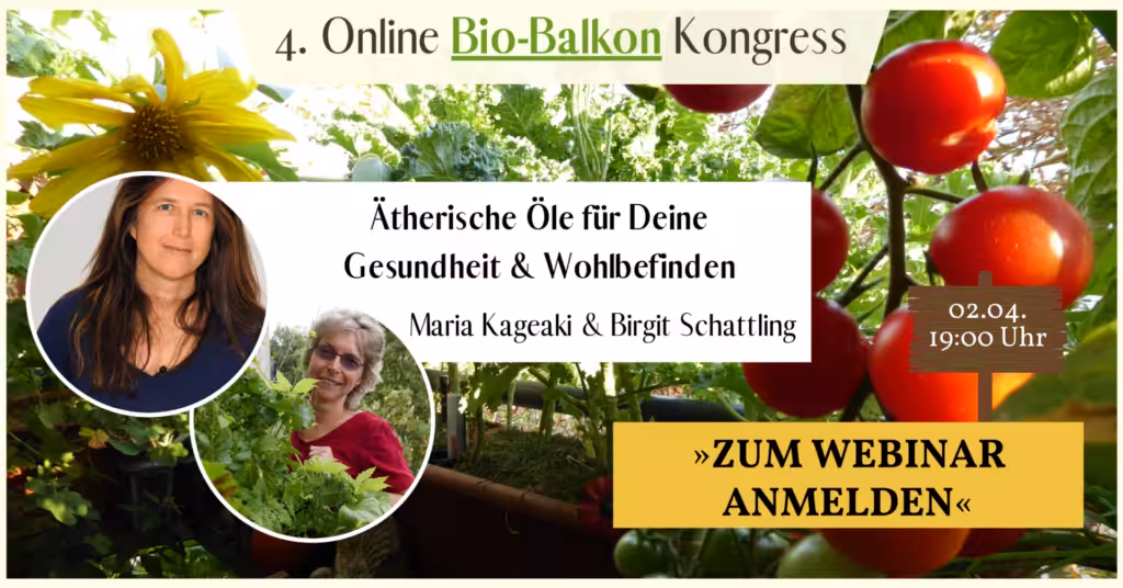 webinar ätherische öle