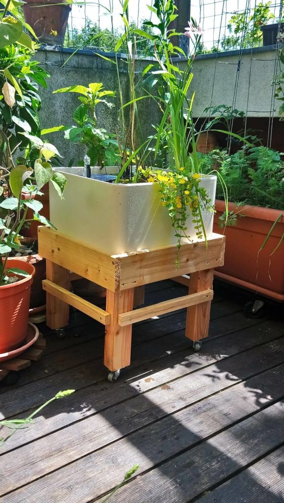MiniTeich auf dem Balkon oder Sumpfbeet BioBalkon