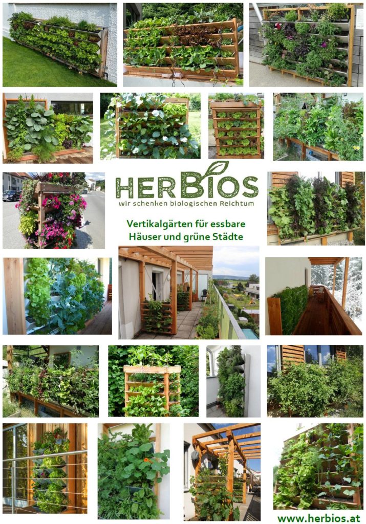 Vertikalgärten ermöglichen eine ganzjährige Selbstversorgung mit Kräutern, Obst und Gemüse in Bio-Qualität. Hier sind die verschiedenen Varianten zu sehen.