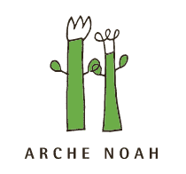 arche noah