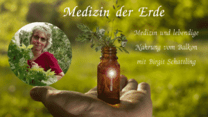 Birgit Schattling christel ströbel medizin der erde