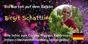 Corona Twitter Birgit Schattling