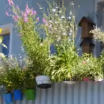 Schöner Balkon an Berliner Straße