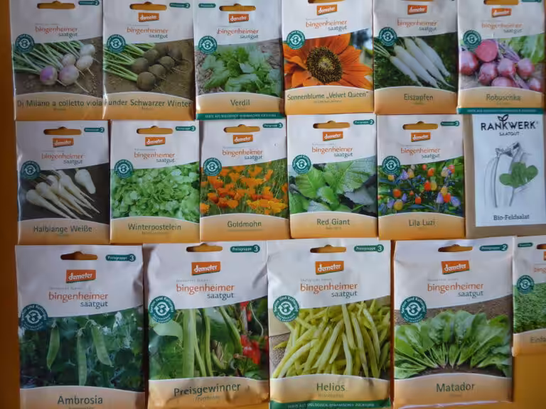 Bingenheimer Saatgut offers seed-resistant seeds in organic quality.