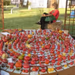 Michael Schick reports on delicious wild plants to eat and, of course, tomatoes