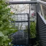 Auf der linken Seite ist das Vertikalbeet zu sehen. Auf der rechten Seite die Brüstung, wo die Stockenten-Mama Lilli nistete. Kurz vorher in der Mitte nistete noch die Ringeltaube.