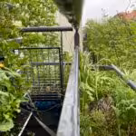 Die Stockente suchte sich so einen schönen Ort zum Nisten auf unserem Balkon aus.