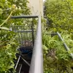 So schmal ist es auf unserem nur 60 cm breiten Balkon mitten in Berlin im 6. Stock.