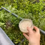 Wir fütterten unsere Ente auf unserem Balkon, damit sie sich an den Menschen gewöhnt.