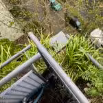 Deutlich ist der kurze Abstand zwischen den Nestern von Ringeltaube und Stockente zu erkennen. Es ist halt ein kleiner schmaler Balkon.