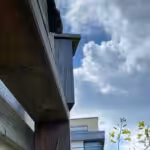 Mindestens ein junges Eichhörnchen schläft in der Sperlings-Nisthilfe.