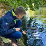 Wir hatten beim Beobachten das Gefühl, es könnte unsere Stockente Lilli sein.