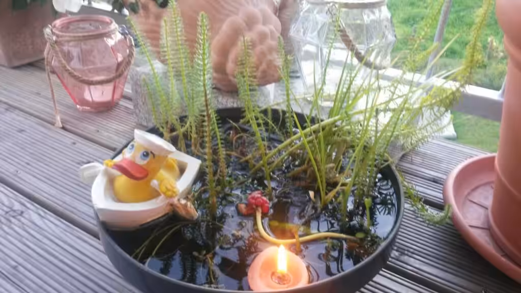 Auch dieser Mini Teich bringt Freude auf den Balkon.