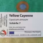 Anbau von Paprika und Chili auf dem Balkon - Pflanzen von Chili-Experte Alexander Hicks