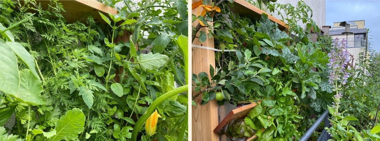 Vertikalbeet Freude und Ertrag durch vertikales Gärtnern Balkon