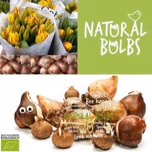 Gutschein für biologisch produzierte Blumenzwiebeln