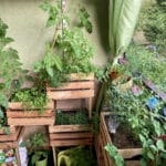 Vertikal gärtnern - Vertikalbeet aus Kisten