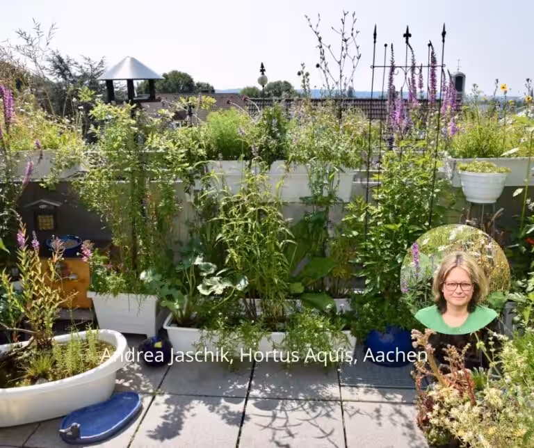 Dachgarten Andrea Jaschik Testimonial