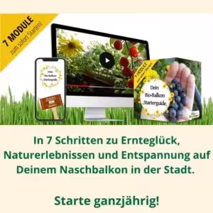 Videokurs zum nachhaltigen Gärtnern auf Balkon, Terrasse, Fensterbrett.