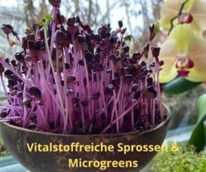 Vitalstoffreiche Sprossen & Microgreens