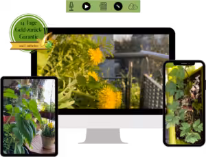 Videokurs zum biologischen Anbau von essbaren Wildpflanzen auf Balkon, Fensterbrett und Terrasse.