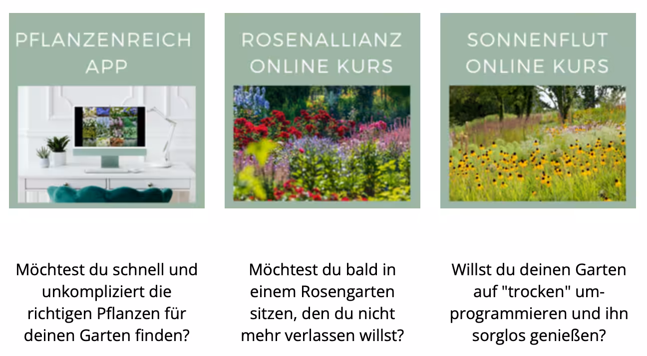 Unterstützungsangebote der Pflanzexpertin Petra Pelz zur Pflanzenauswahl