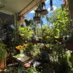 Der Erholungsbalkon bietet dank dichtem Bewuchs auch im Hochsommer ein sehr angenehmes Mikroklima.