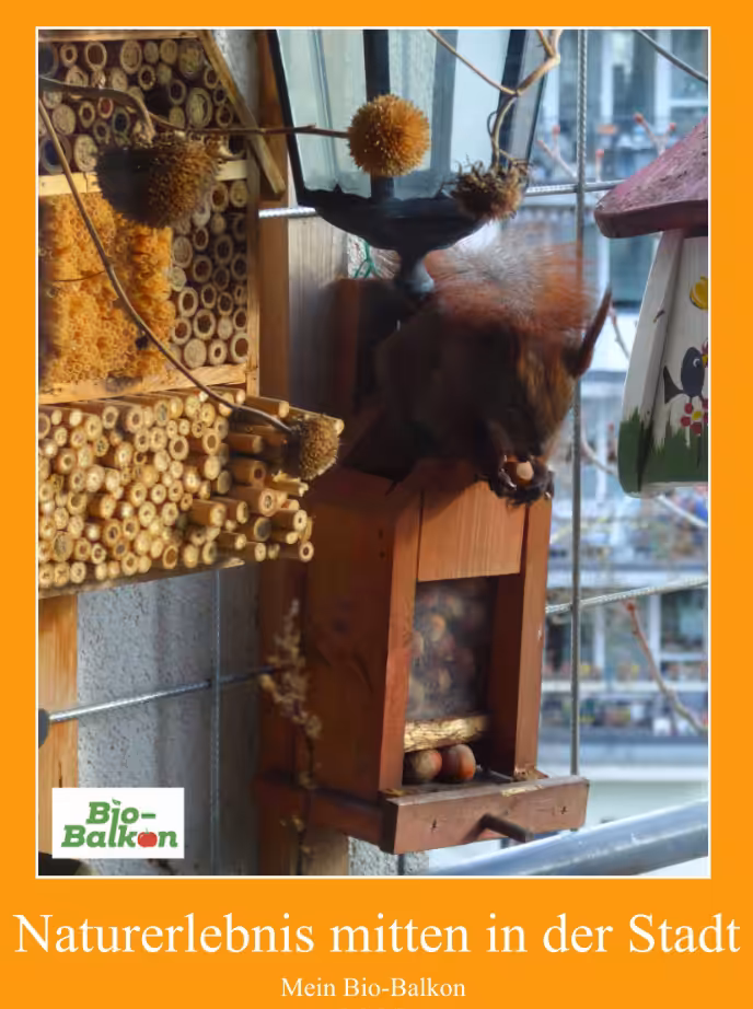 Kalender vom Bio-Balkon zum Naturerlebnis mitten in der Stadt