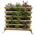 Vertikalbeet DIY mit Wintergemüse-Setzlingen bepflanzt.