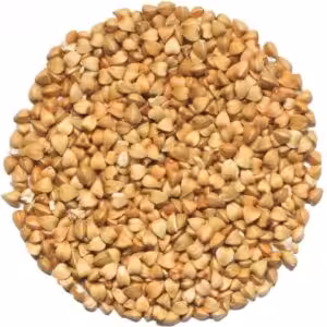 Keimsaatgut Buchweizen