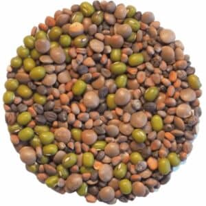 Keimsaatgut Sprossenmix “Salat”