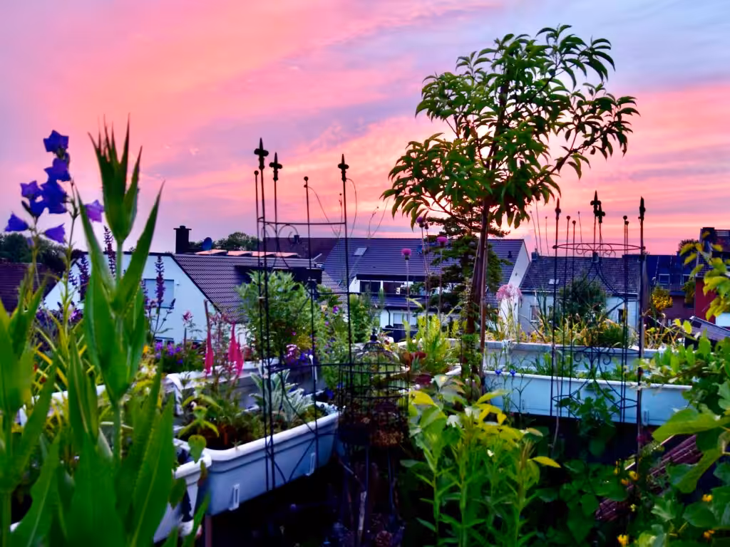 Sonnenuntergang im Juni @andrea jaschik