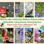 Für blühende Wohlfühlorte für Mensch und Tier in Stadt und Land